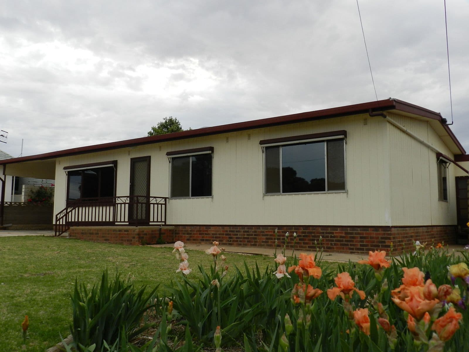 12 Traeger Street, LOXTON SA 5333, Loxton - Image 1