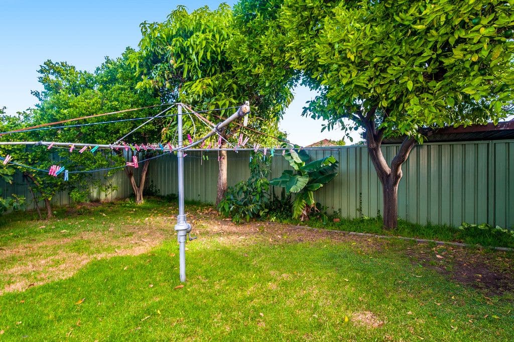 3 Flora Street, Mascot NSW 2020, Mascot - Thumbnail 6