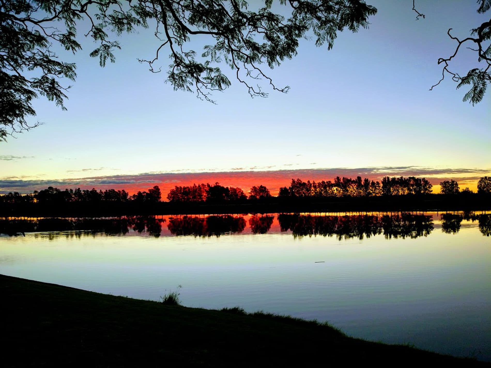 Lot 128,  Proposed Road, Heatherbrae - Thumbnail 6