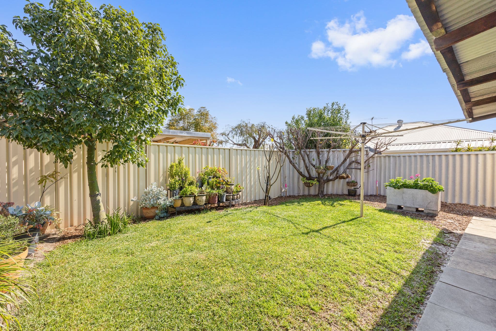 77 Star Street, Carlisle WA 6101, Carlisle - Thumbnail 5