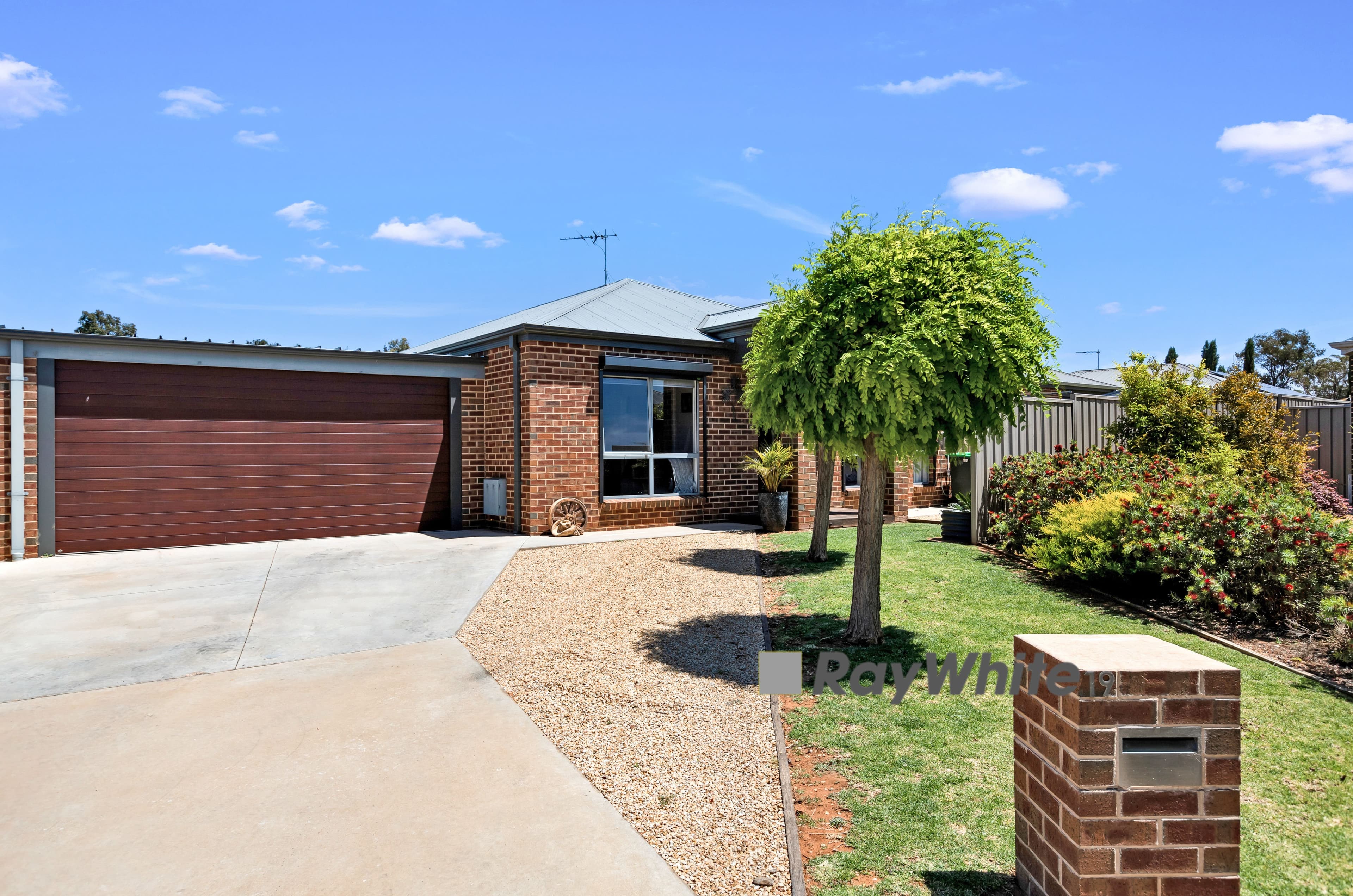 19 Betty Krake Drive, Red Cliffs VIC 3496, Red Cliffs - Image 1
