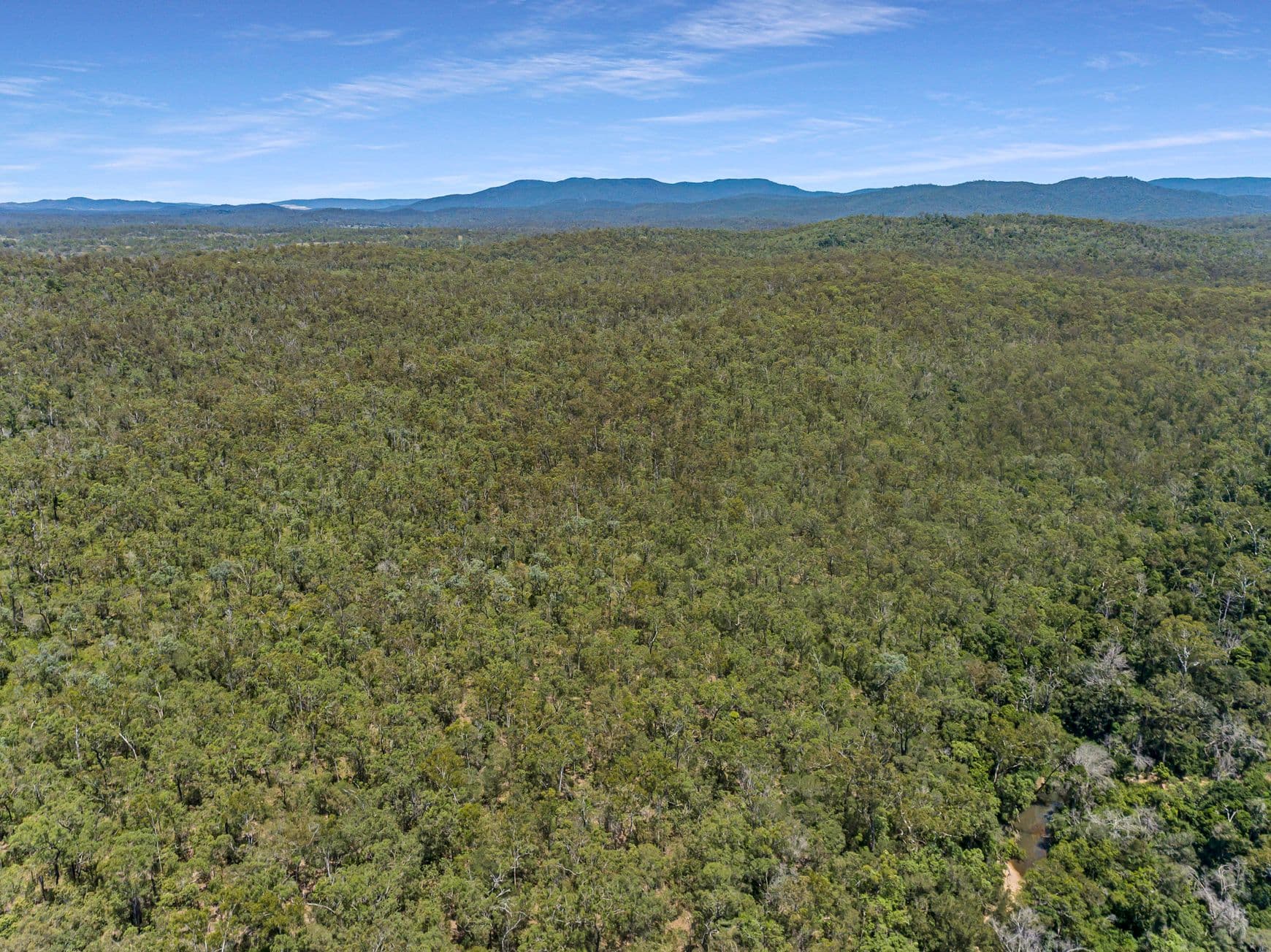 68 St Agnes Road, St Agnes QLD 4671, St Agnes - Thumbnail 5