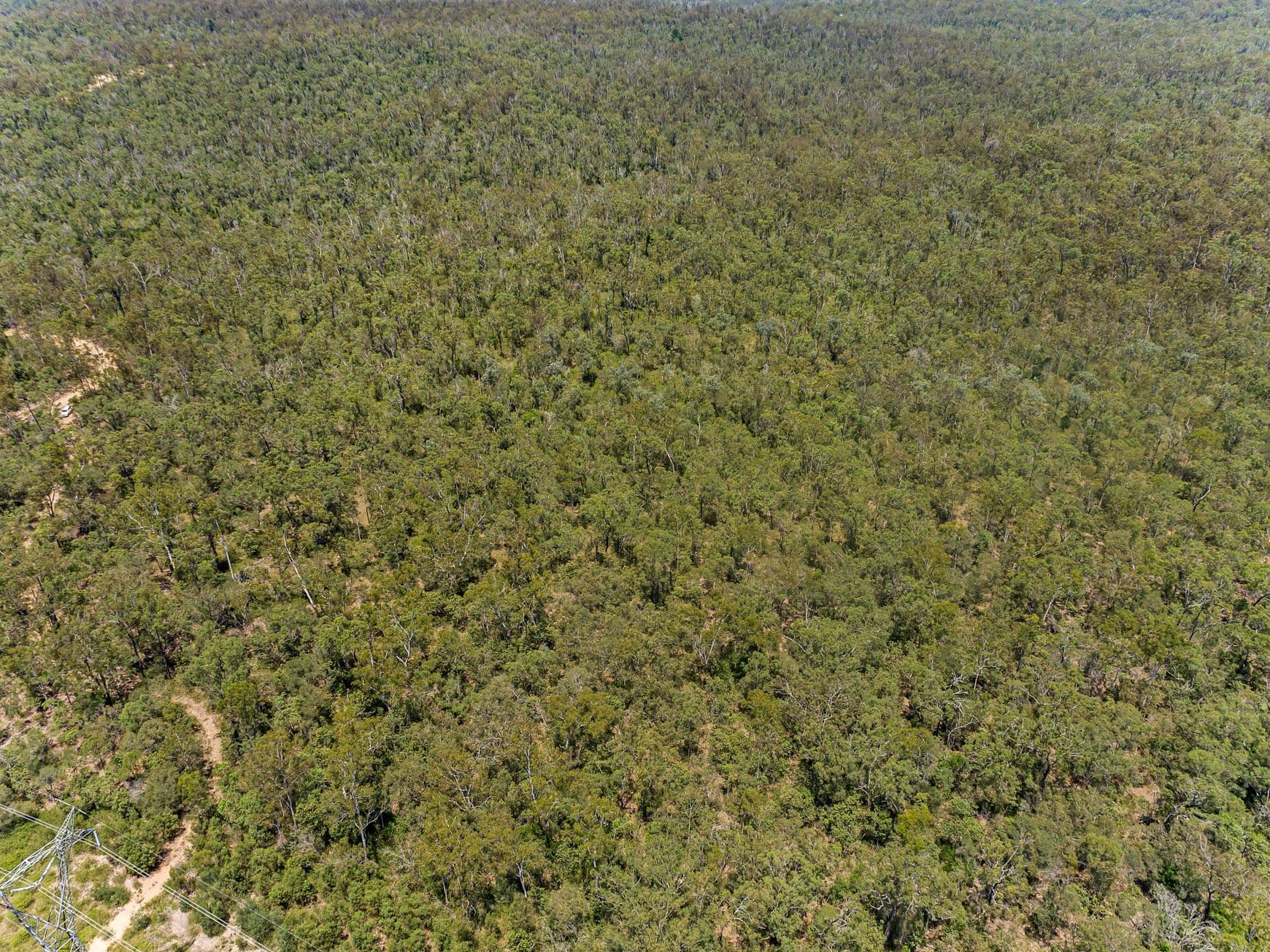 68 St Agnes Road, St Agnes QLD 4671, St Agnes - Thumbnail 6