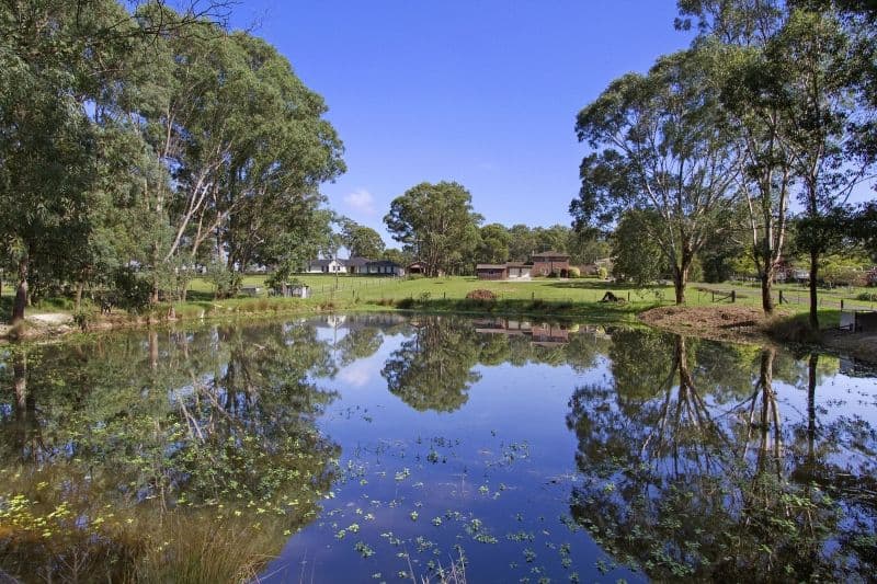 641 Terrace Road, Freemans Reach - Thumbnail 4