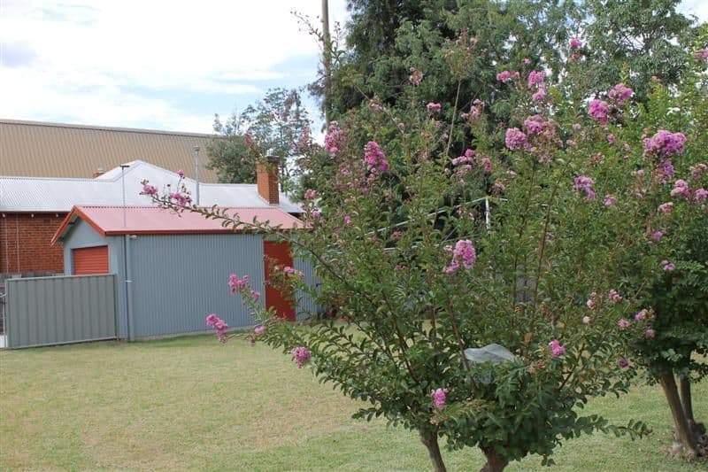 124 Bultje Street, DUBBO NSW 2830, Dubbo - Thumbnail 5