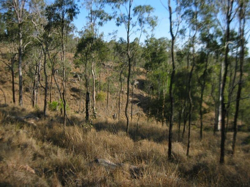 0 Scott Close, TEELAH QLD 4314, Teelah - Thumbnail 7