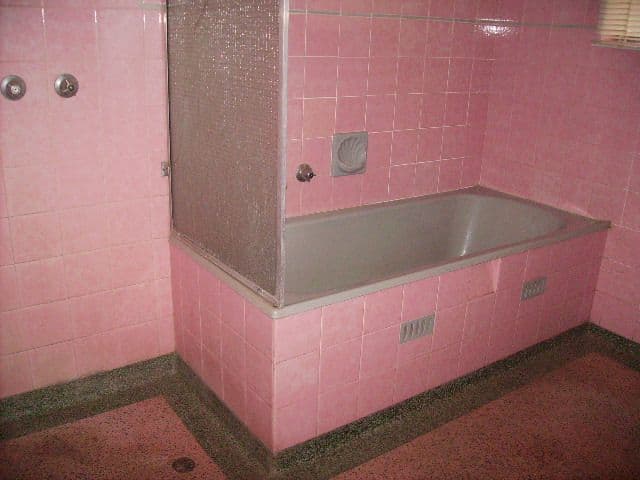 2  Katrina Avenue, KLEMZIG SA 5087, Klemzig - Thumbnail 5