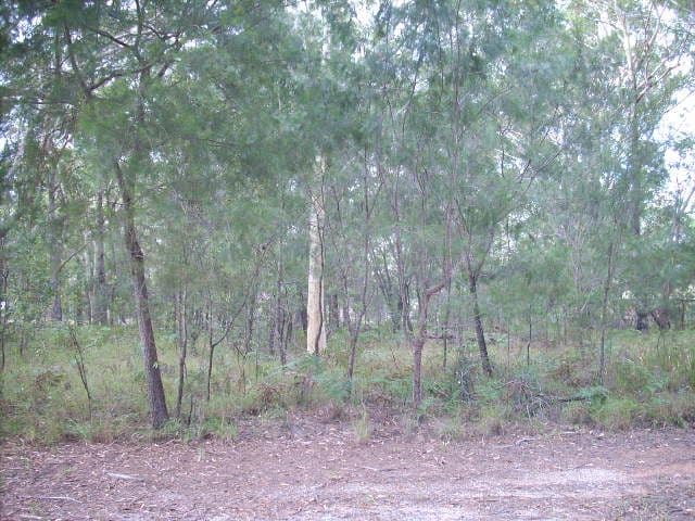 19 Loftus Crescent, Russell Island QLD 4184, Russell Island - Thumbnail 2