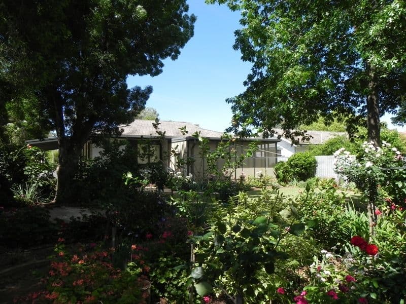 53 Willandra Avenue, Griffith - Thumbnail 5