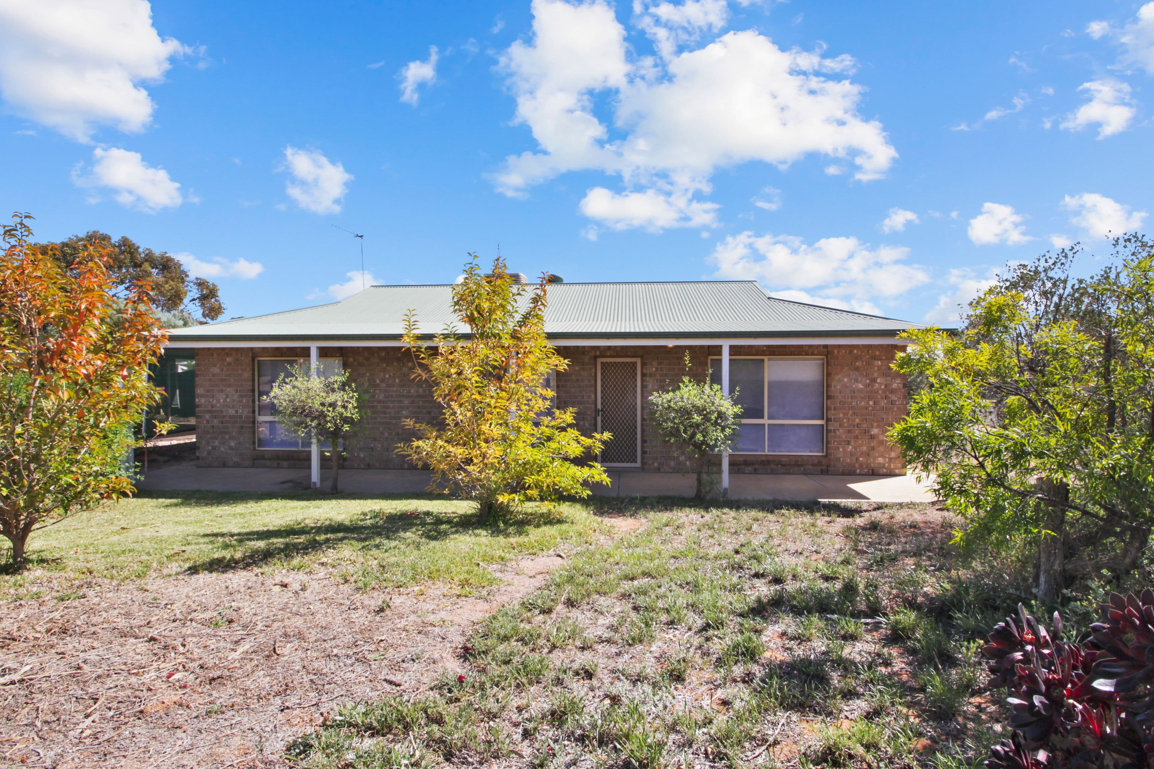 31 Middleton Avenue, Paringa SA 5340, Paringa - Image 1