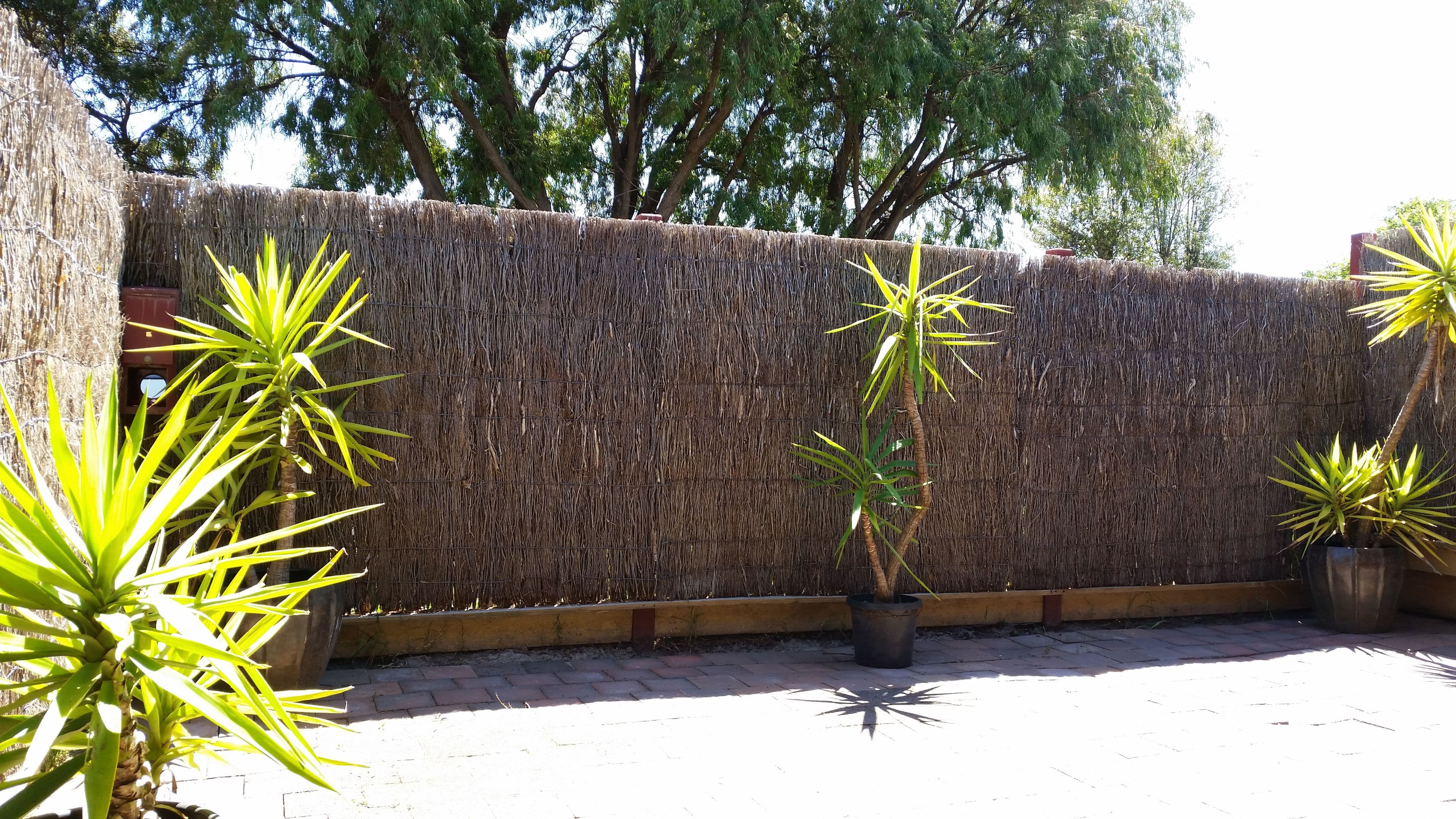157 Eighth Avenue, Rosebud VIC 3939, Rosebud - Thumbnail 7