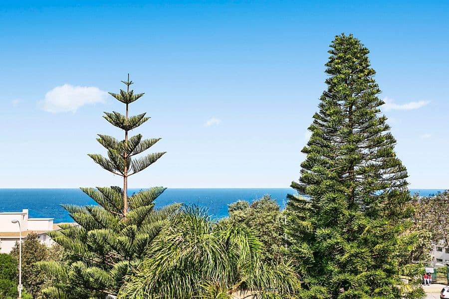 2 Francis Street, BONDI BEACH NSW 2026, Bondi Beach - Thumbnail 5