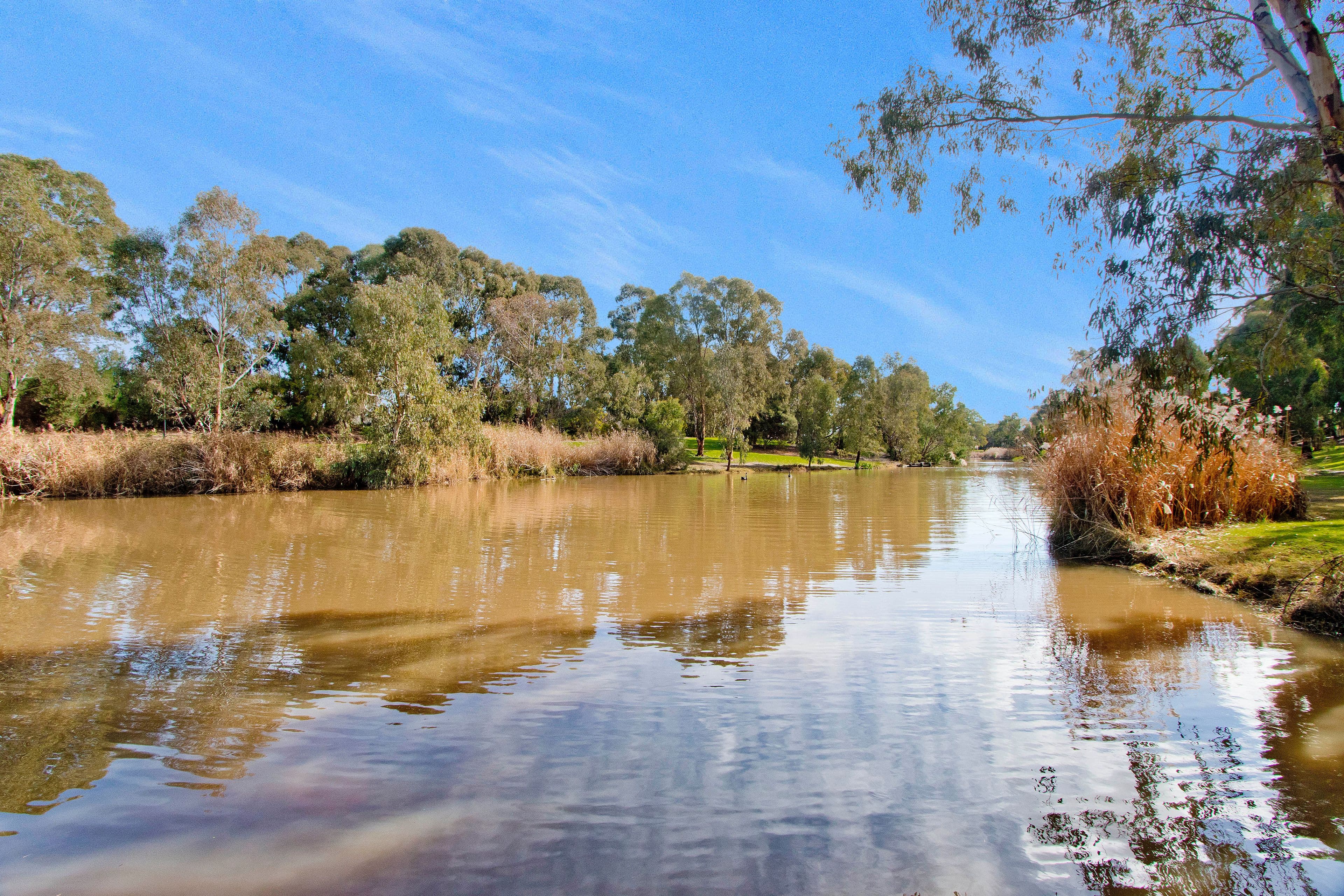 10 Diosma Crescent, Lockleys SA 5032, Lockleys - Thumbnail 4