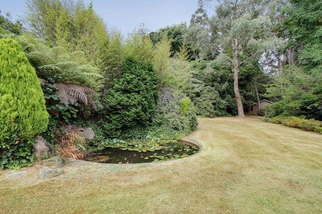 168-172 Falls Road, OLINDA VIC 3788, Olinda - Thumbnail 6