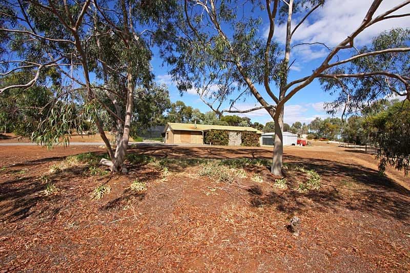 20 Lawson Road, KALBEEBA SA 5118, Kalbeeba - Image 1