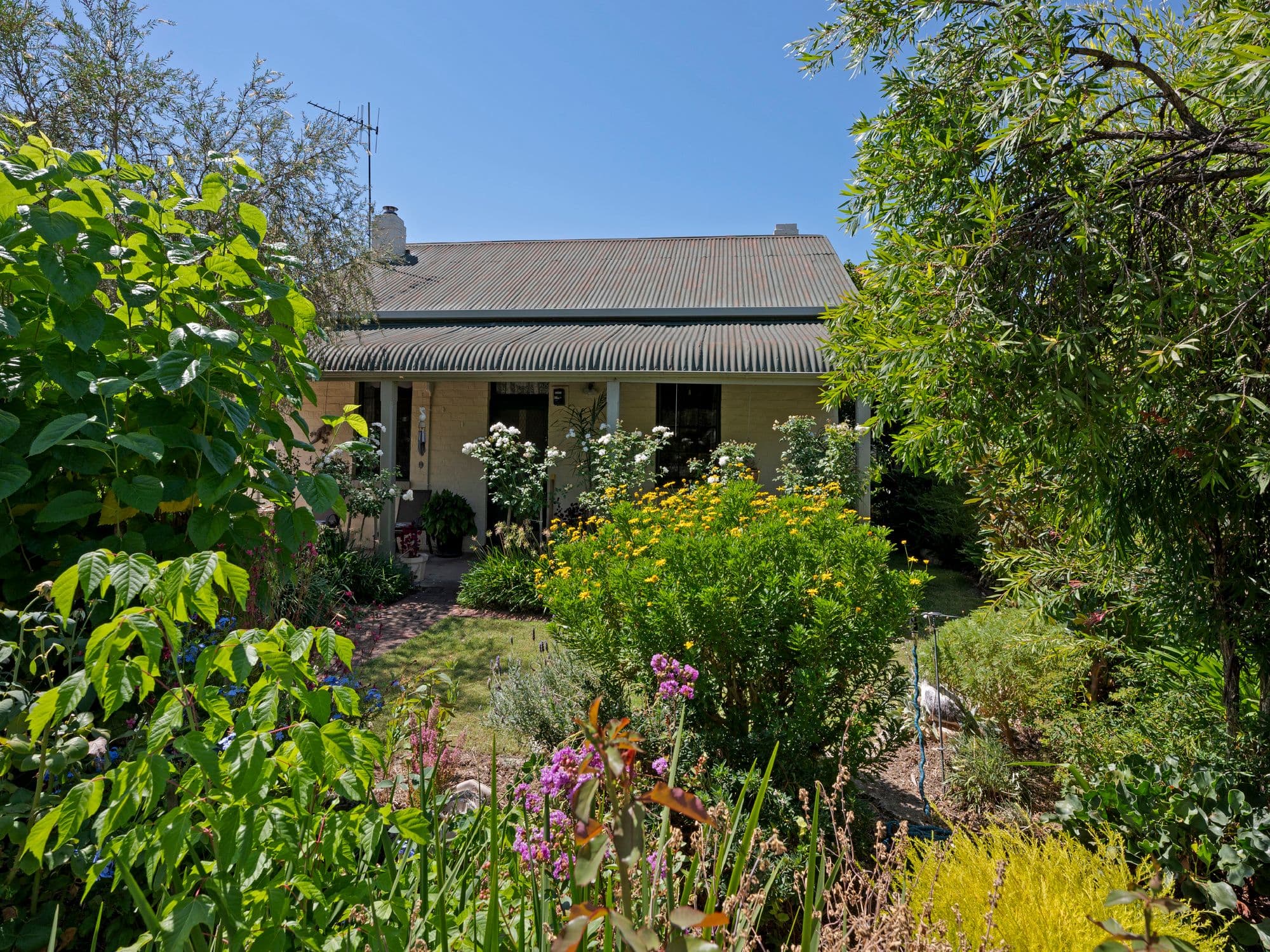 3 Smythe Street, Benalla VIC 3672, Benalla - Image 1