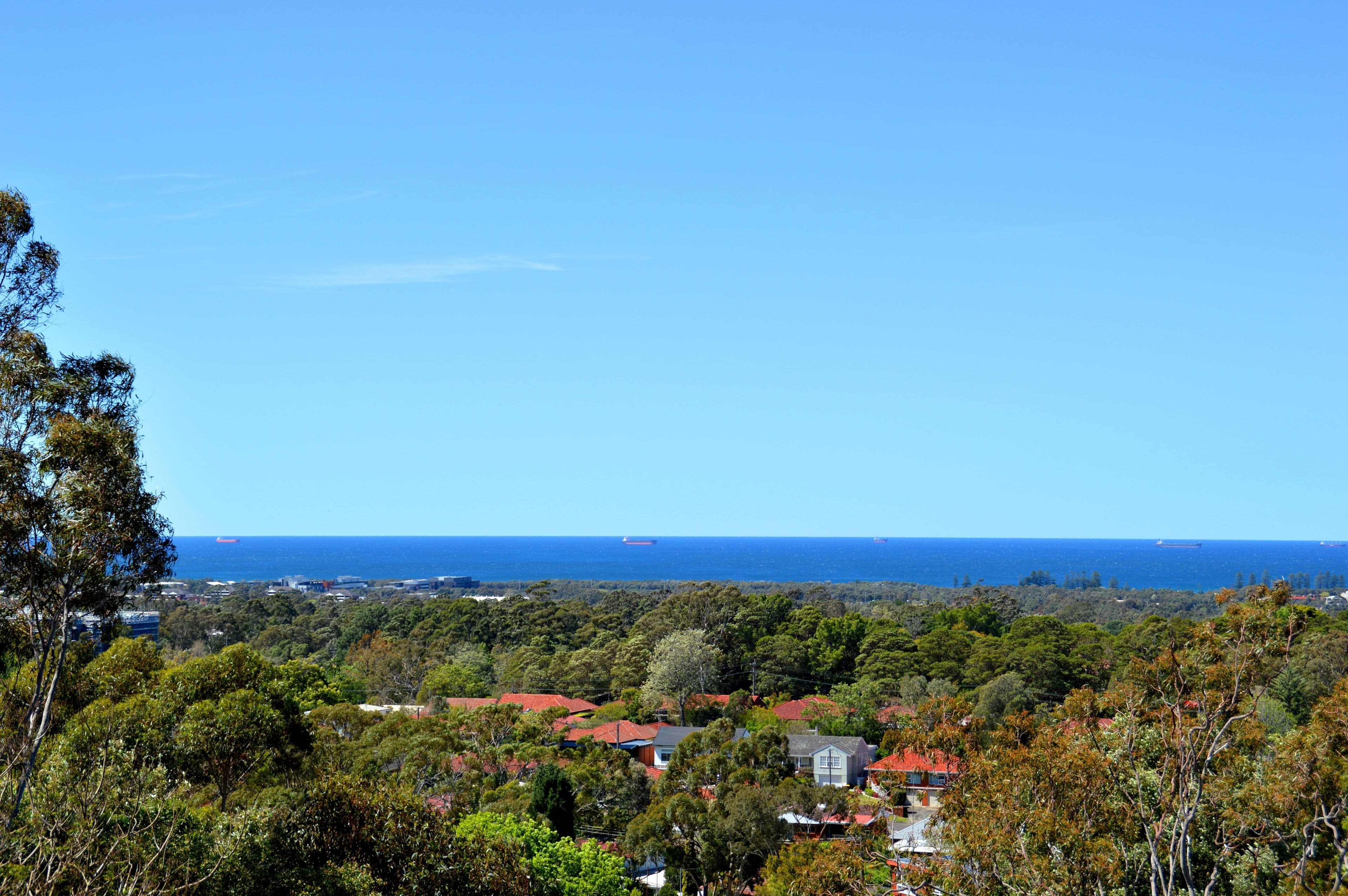 82 Murphys Avenue, Keiraville - Thumbnail 5