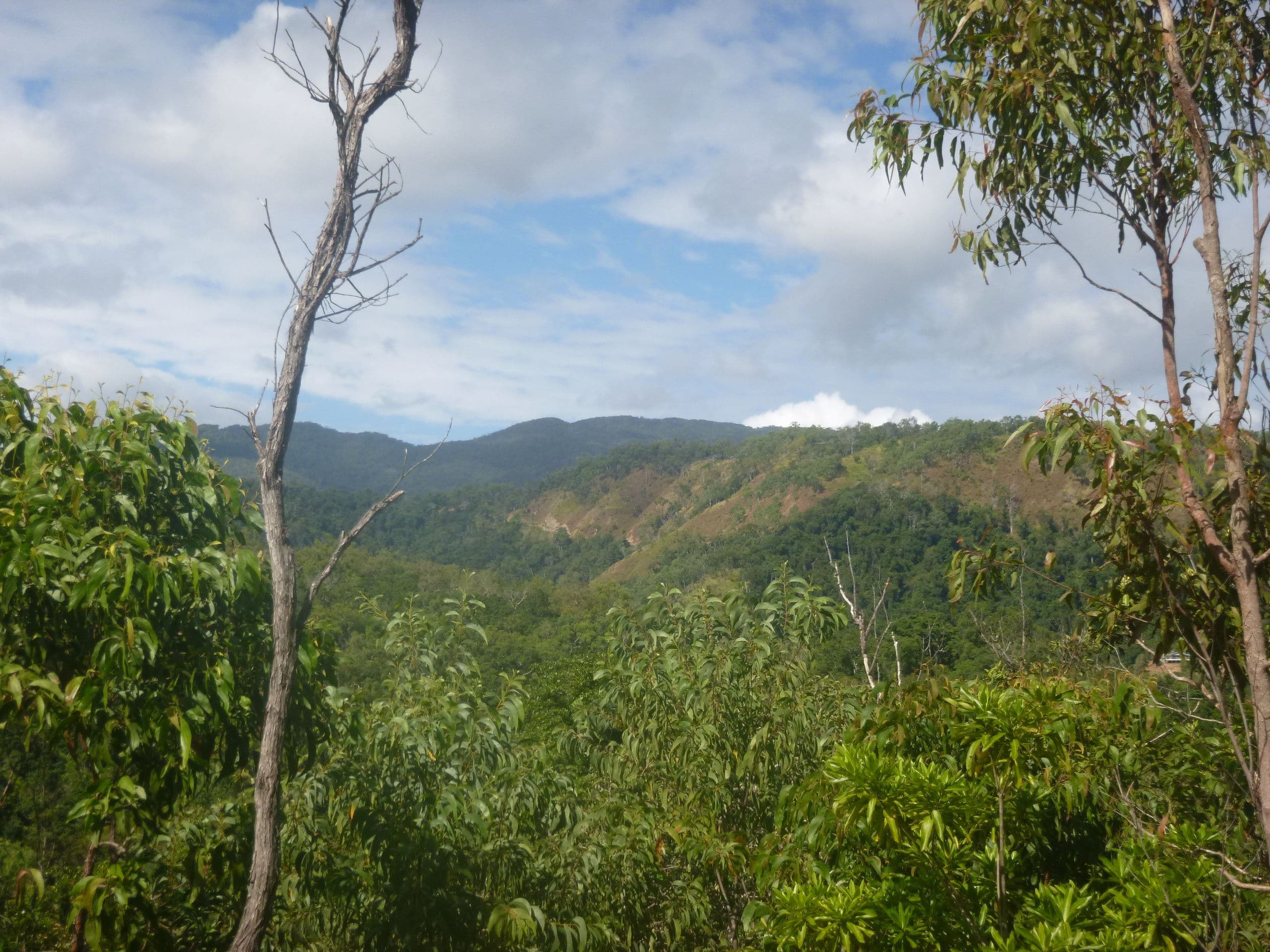 1 Rossville-Bloomfield Road, Bloomfield QLD 4895, Bloomfield - Thumbnail 2