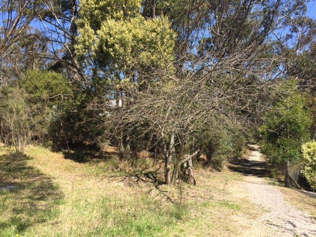 12 Cassilis Street, Mount Victoria NSW 2786, Mount Victoria - Image 1