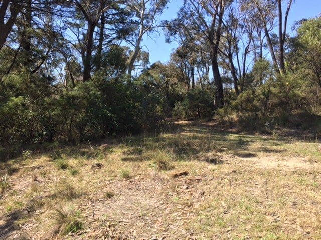 12 Cassilis Street, Mount Victoria NSW 2786, Mount Victoria - Thumbnail 2