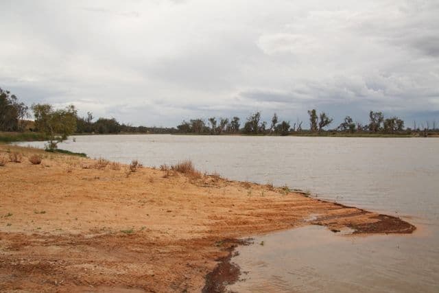 Lot 1 Kingston Road, LOXTON SA 5333, Loxton - Image 1