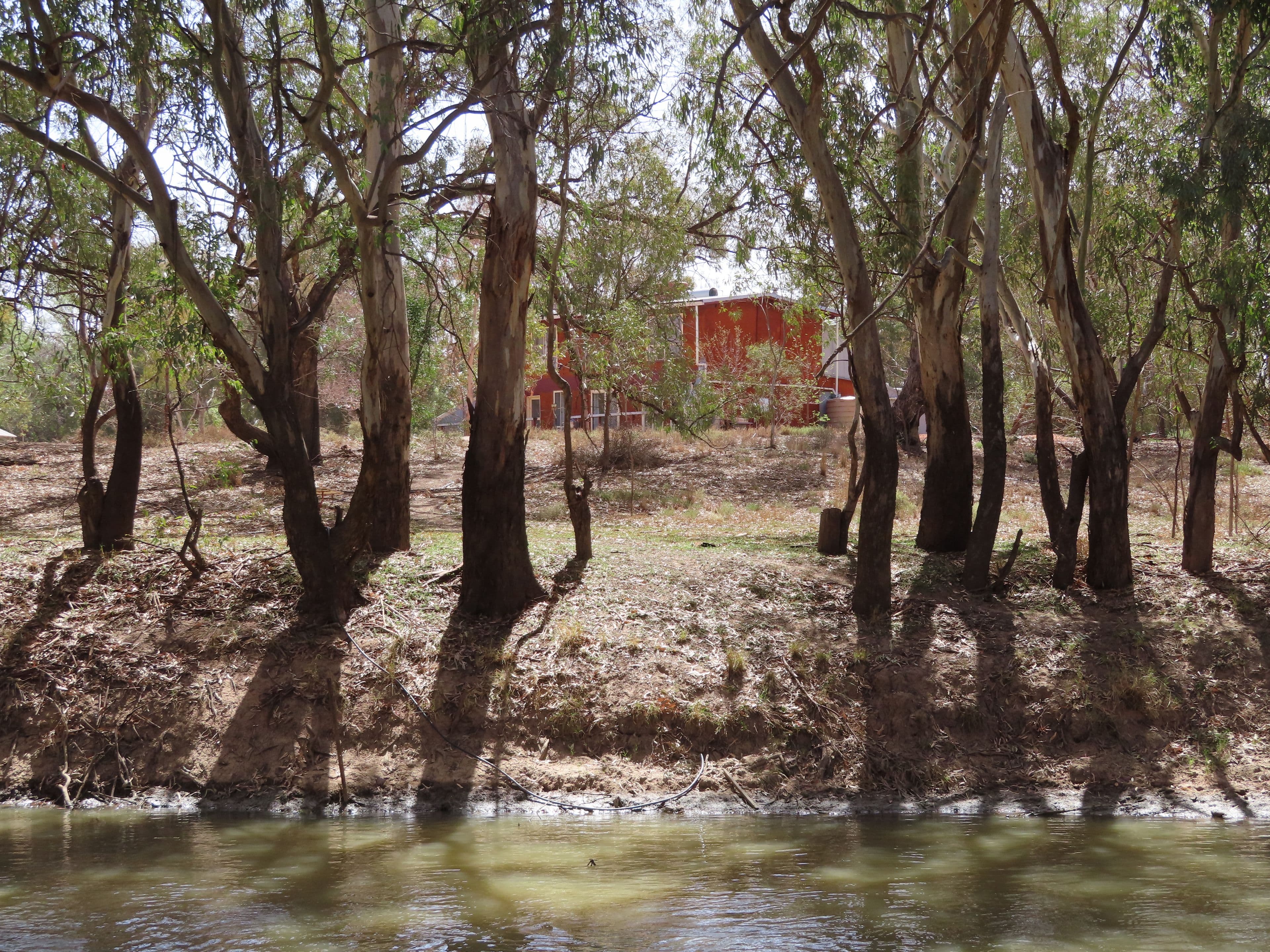 2 Molong Street, Condobolin - Thumbnail 5