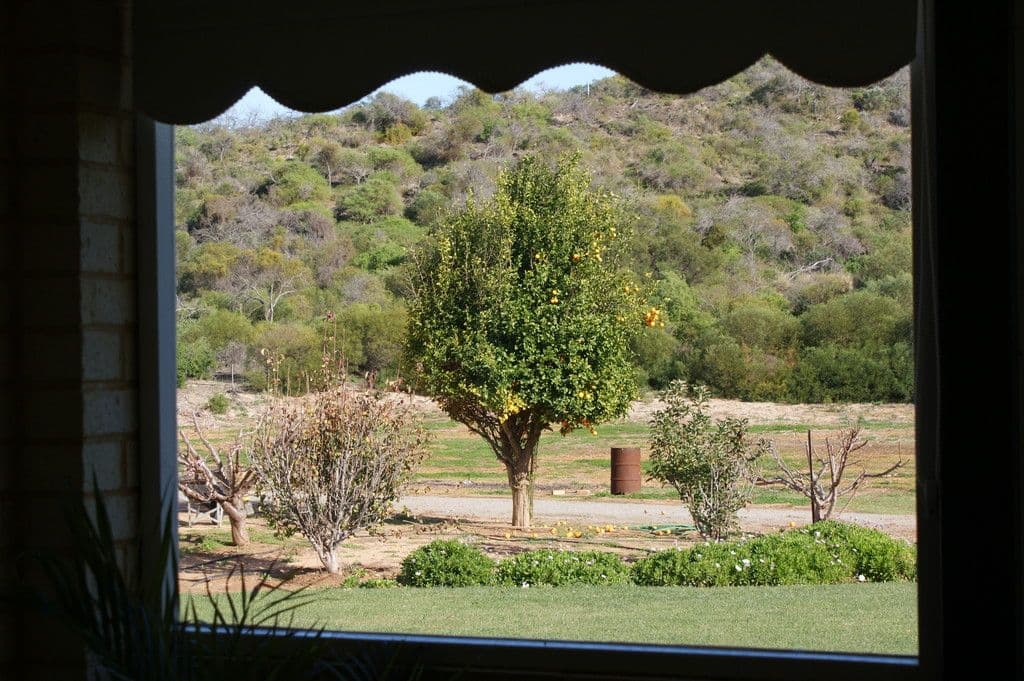 45 Brennand Road, Dongara WA 6525, Dongara - Thumbnail 6