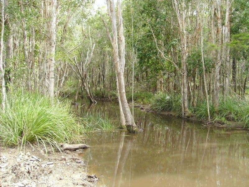 506 Bidwill Road, Bidwill QLD 4650, Bidwill - Thumbnail 7