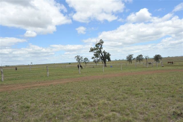 443 Umbiram Road, WYREEMA QLD 4352, Wyreema - Thumbnail 3