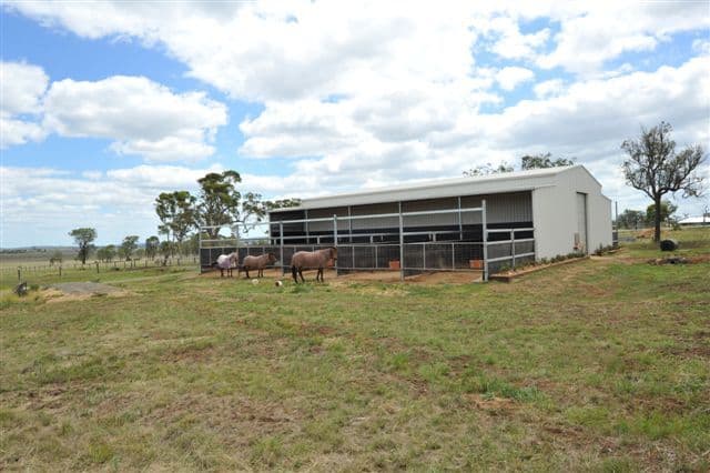 443 Umbiram Road, WYREEMA QLD 4352, Wyreema - Thumbnail 4