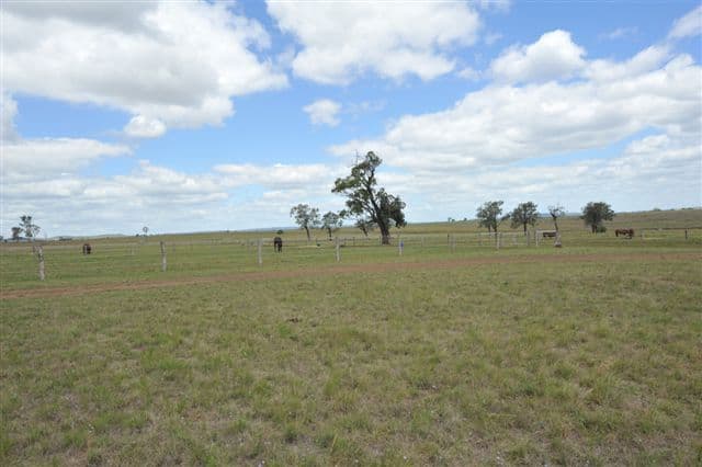 443 Umbiram Road, WYREEMA QLD 4352, Wyreema - Thumbnail 8