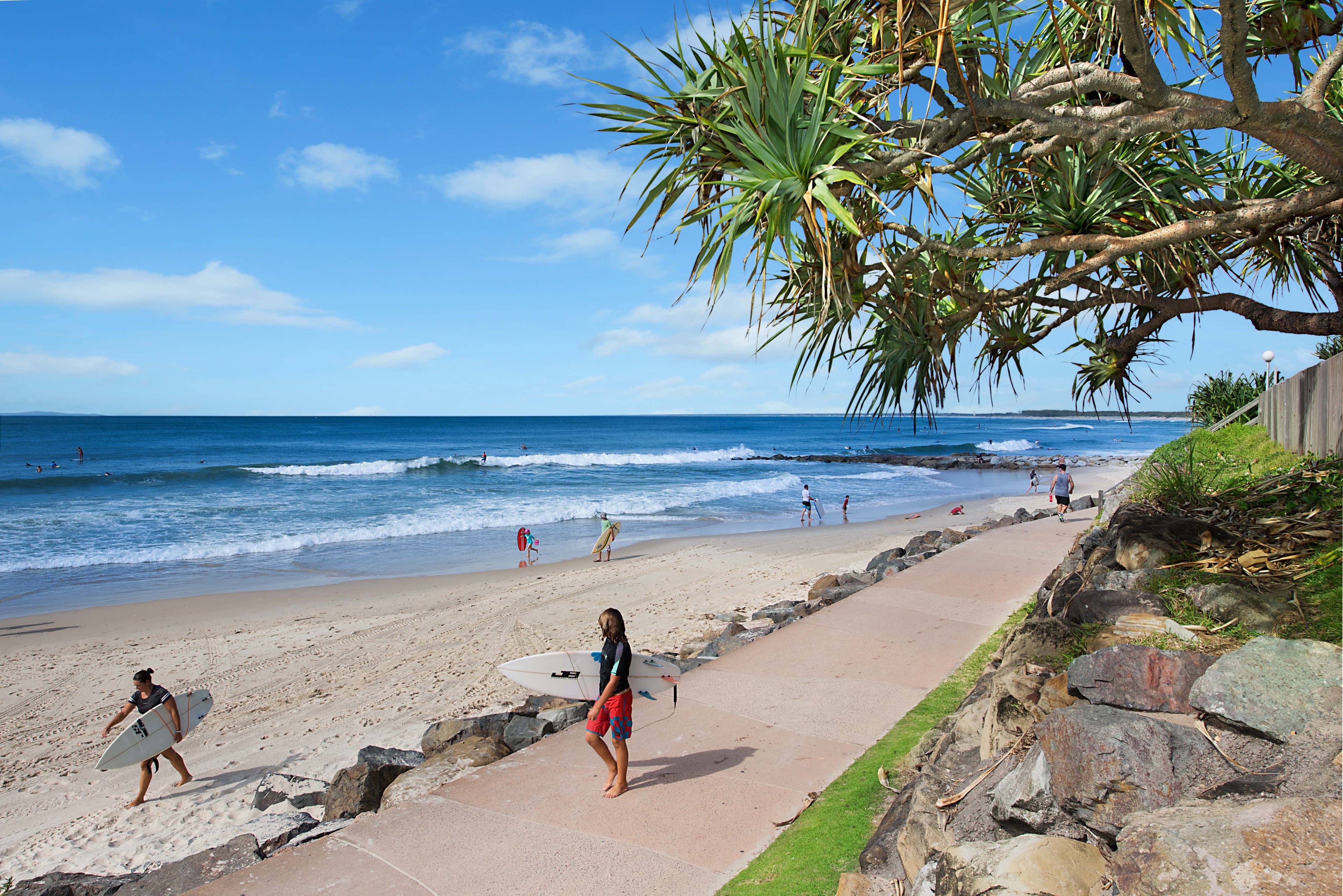 8 Levuka Avenue, Kings Beach QLD 4551, Kings Beach - Thumbnail 2