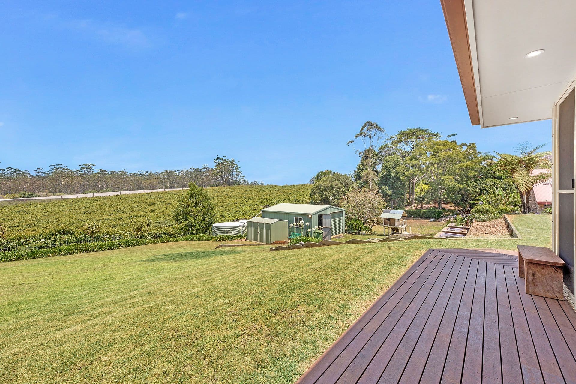 63 Kootenai Drive, Tamborine Mountain QLD 4272, Tamborine Mountain - Thumbnail 5