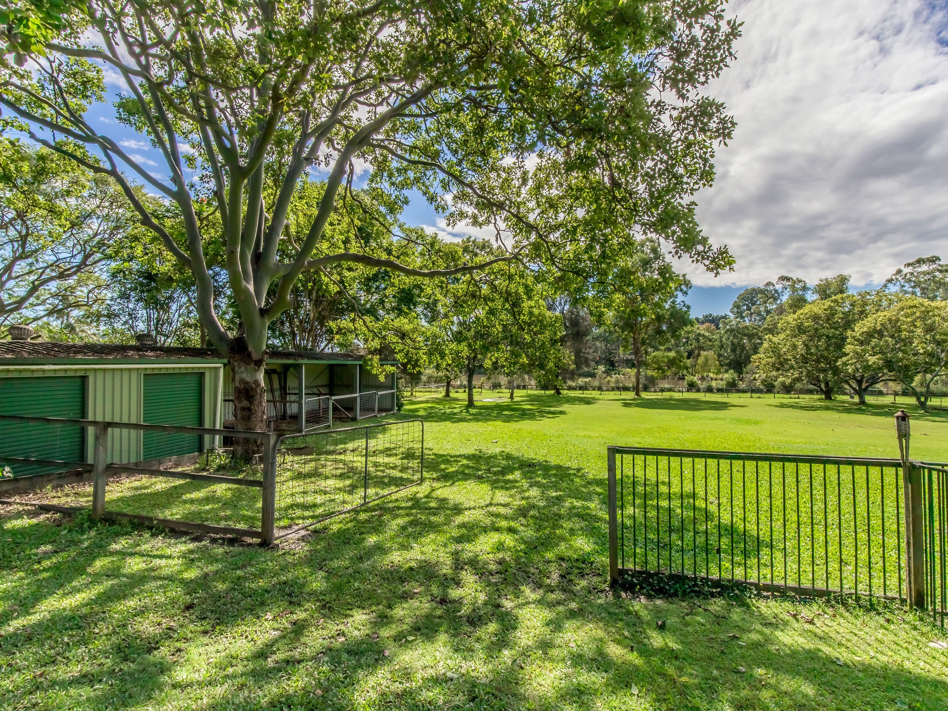53 Ruth Terrace, Oxenford QLD 4210, Oxenford - Thumbnail 5