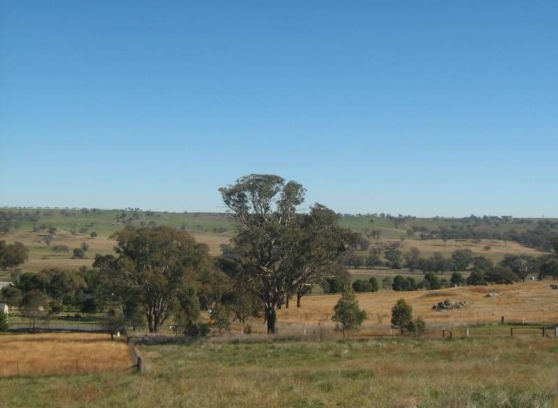 20 Burrows Road, YOUNG NSW 2594, Young - Image 1