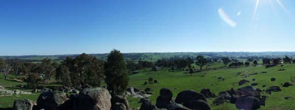 20 Burrows Road, YOUNG NSW 2594, Young - Thumbnail 4