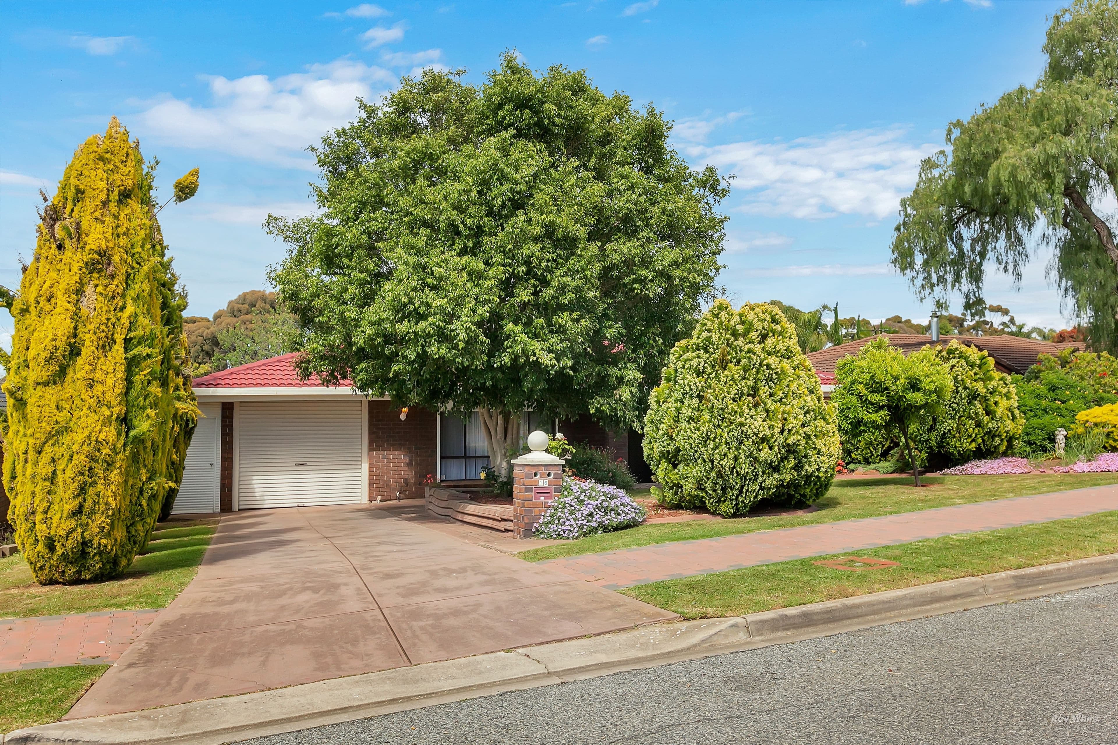 16 Plover Avenue, Modbury Heights SA 5092, Modbury Heights - Image 1