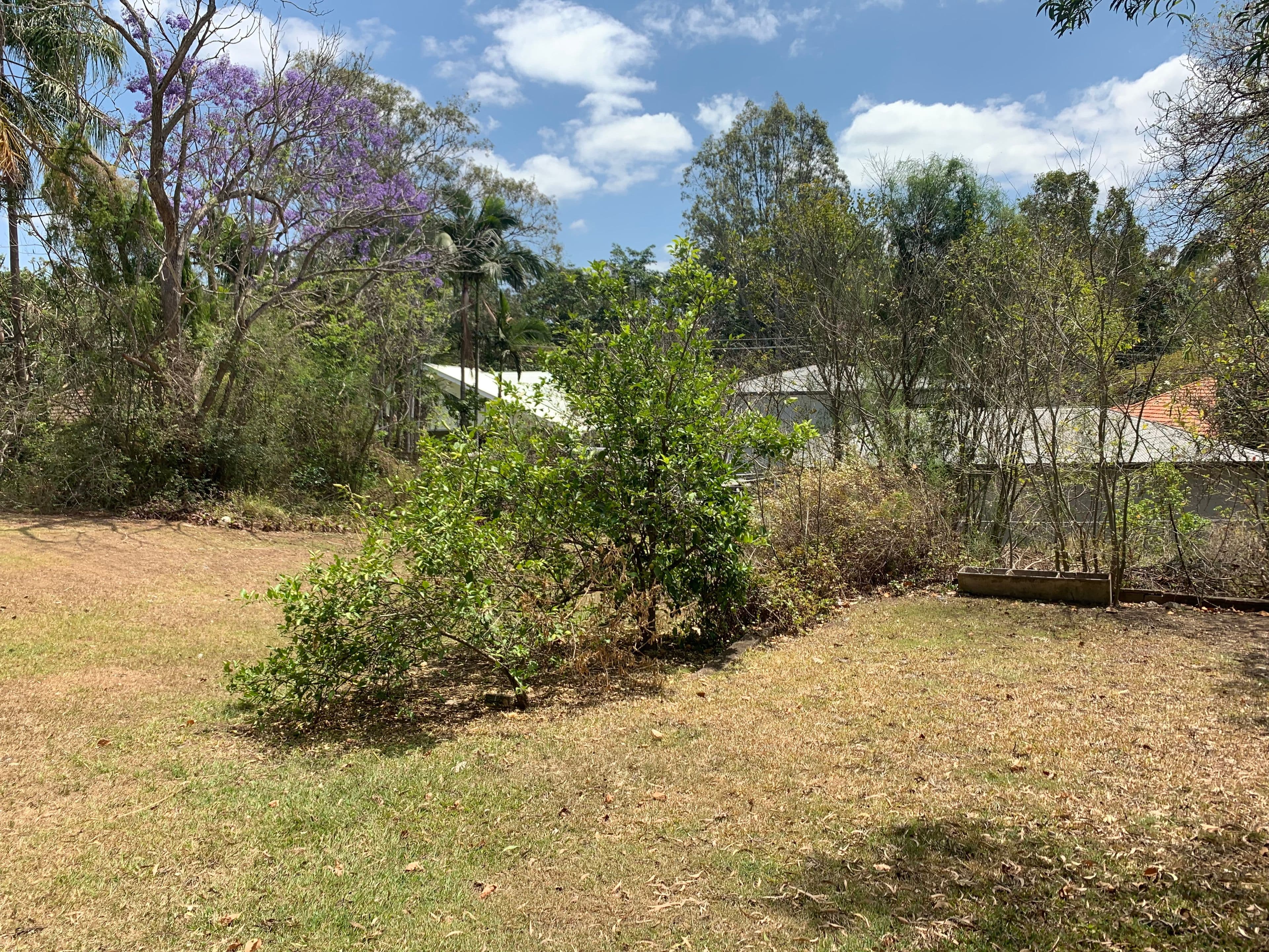 15 Felicia Street, Ashgrove QLD 4060, Ashgrove - Thumbnail 3