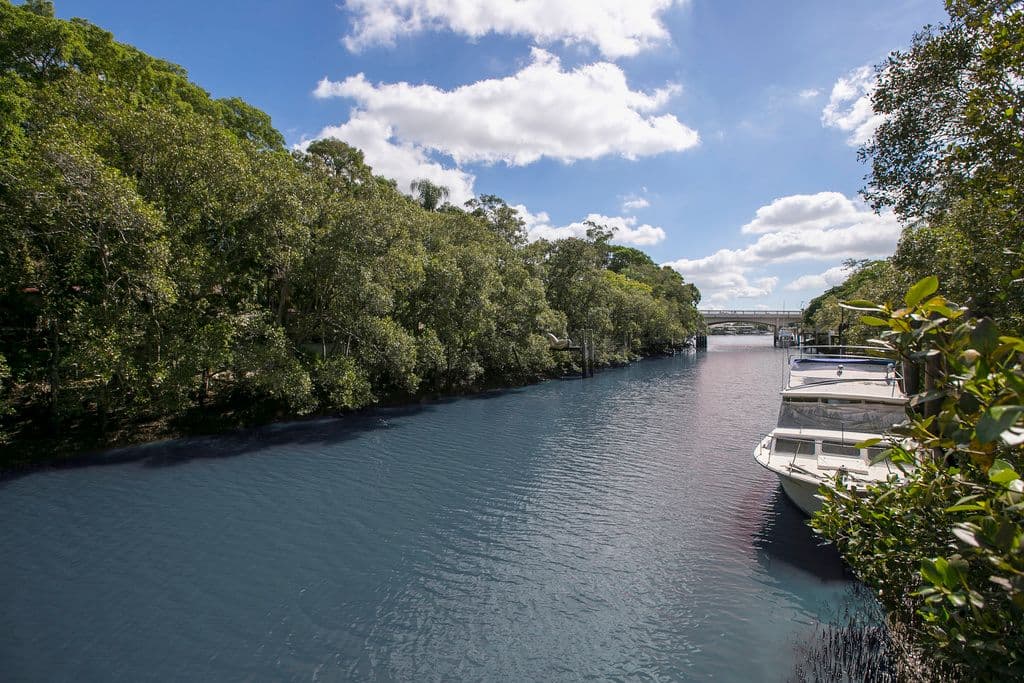 35 Gillan Street, Norman Park QLD 4170, Norman Park - Thumbnail 6