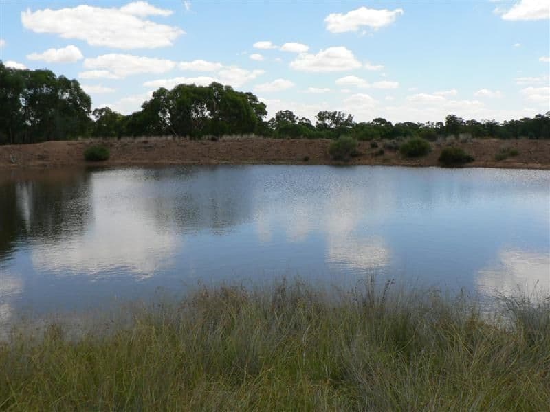141L Jones Creek Road, DUBBO NSW 2830, Dubbo - Image 1