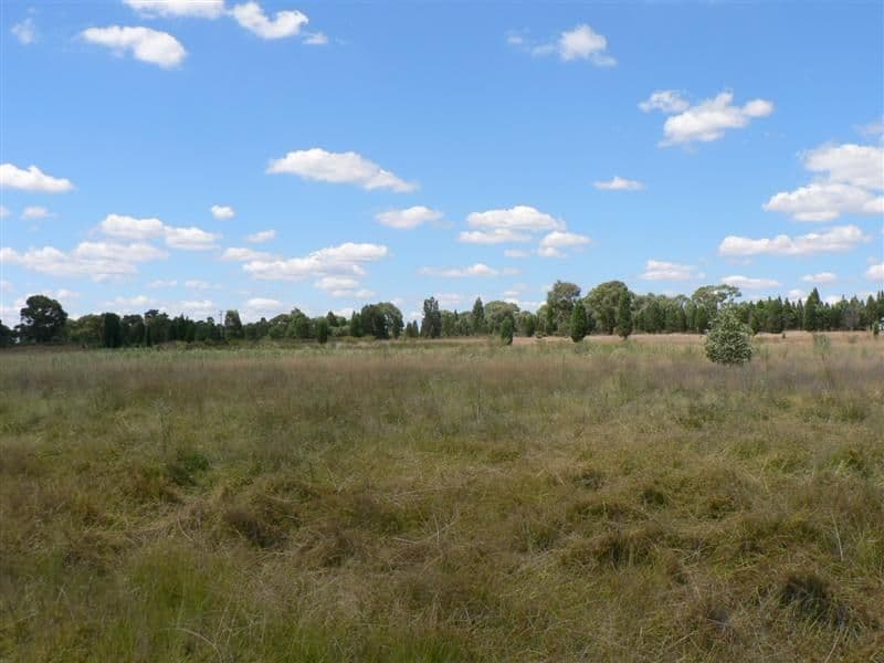141L Jones Creek Road, DUBBO NSW 2830, Dubbo - Thumbnail 2