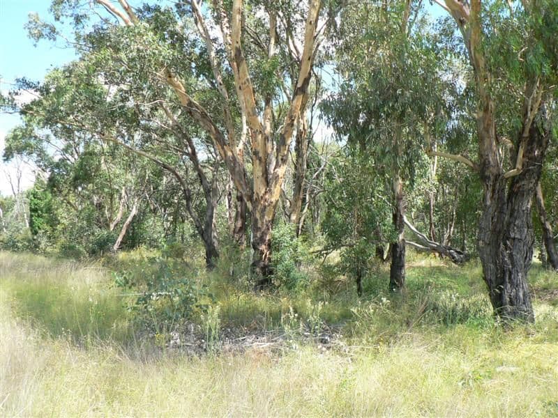 141L Jones Creek Road, DUBBO NSW 2830, Dubbo - Thumbnail 3