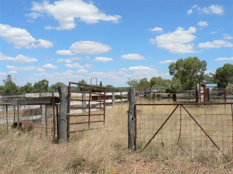 141L Jones Creek Road, DUBBO NSW 2830, Dubbo - Thumbnail 4
