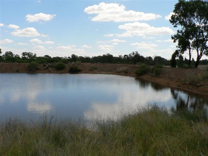 141L Jones Creek Road, DUBBO NSW 2830, Dubbo - Thumbnail 5