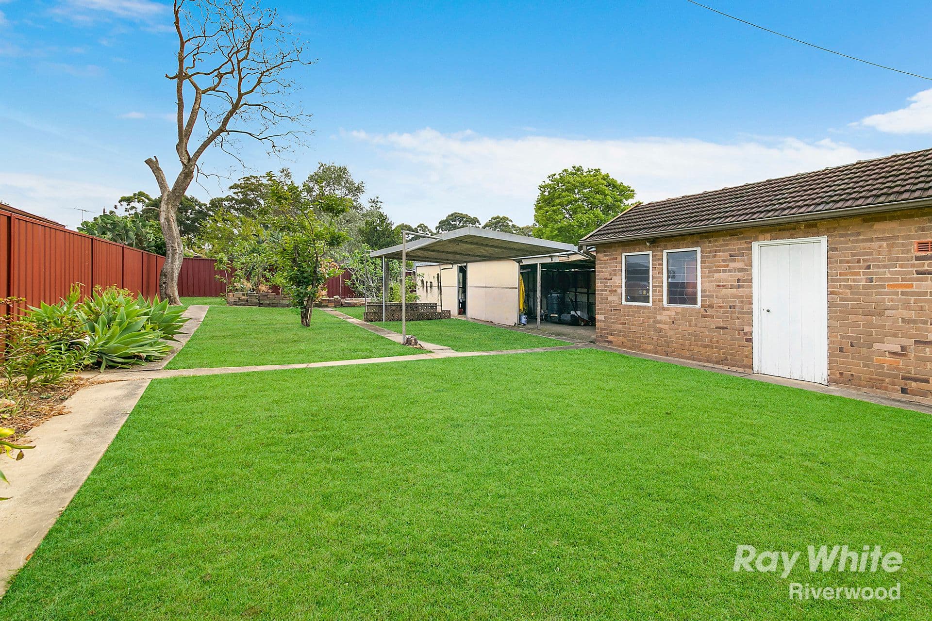 24 Eldon Street, Riverwood - Thumbnail 4