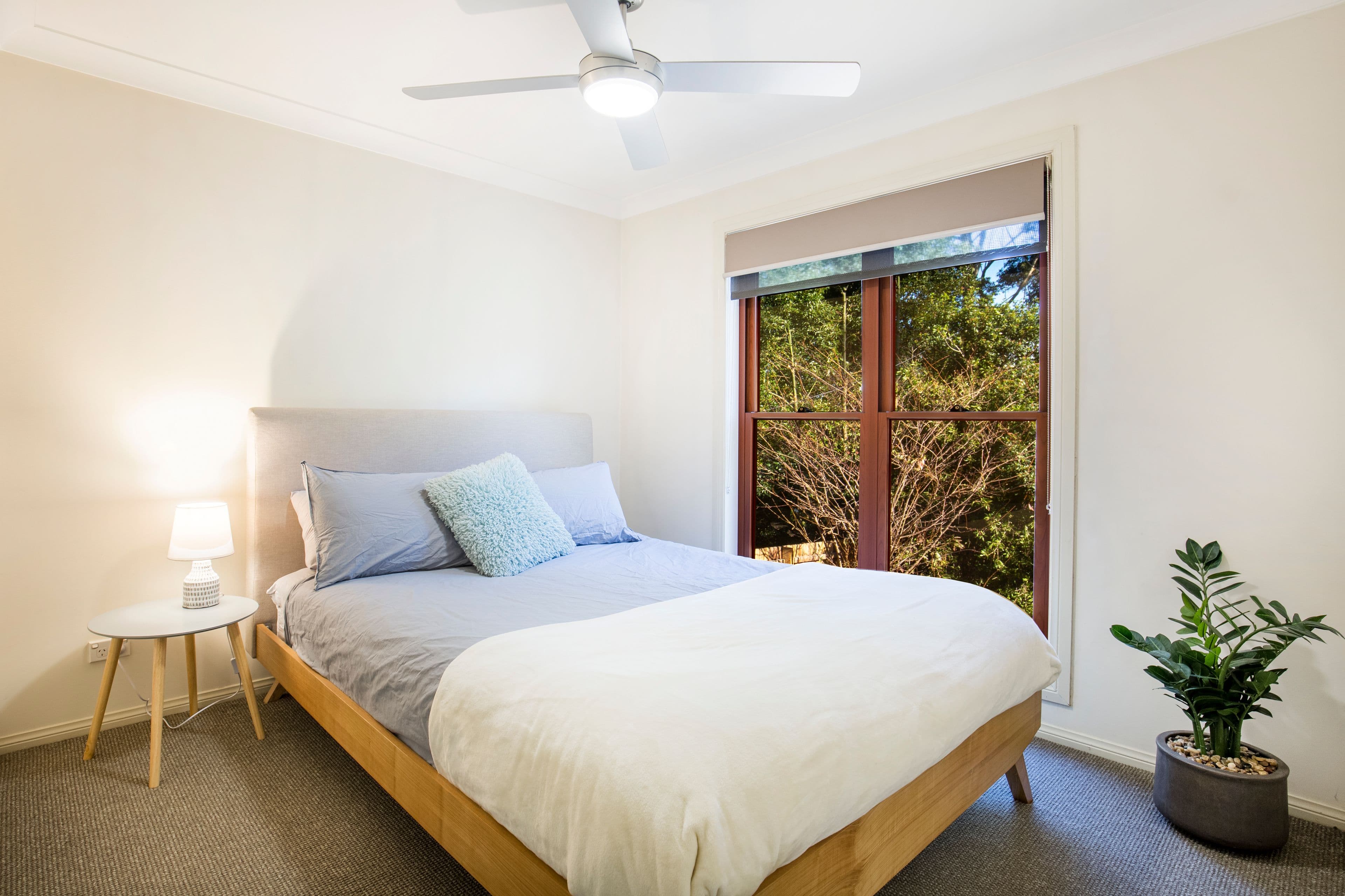 50 George Street, Berry NSW 2535, Berry - Thumbnail 5