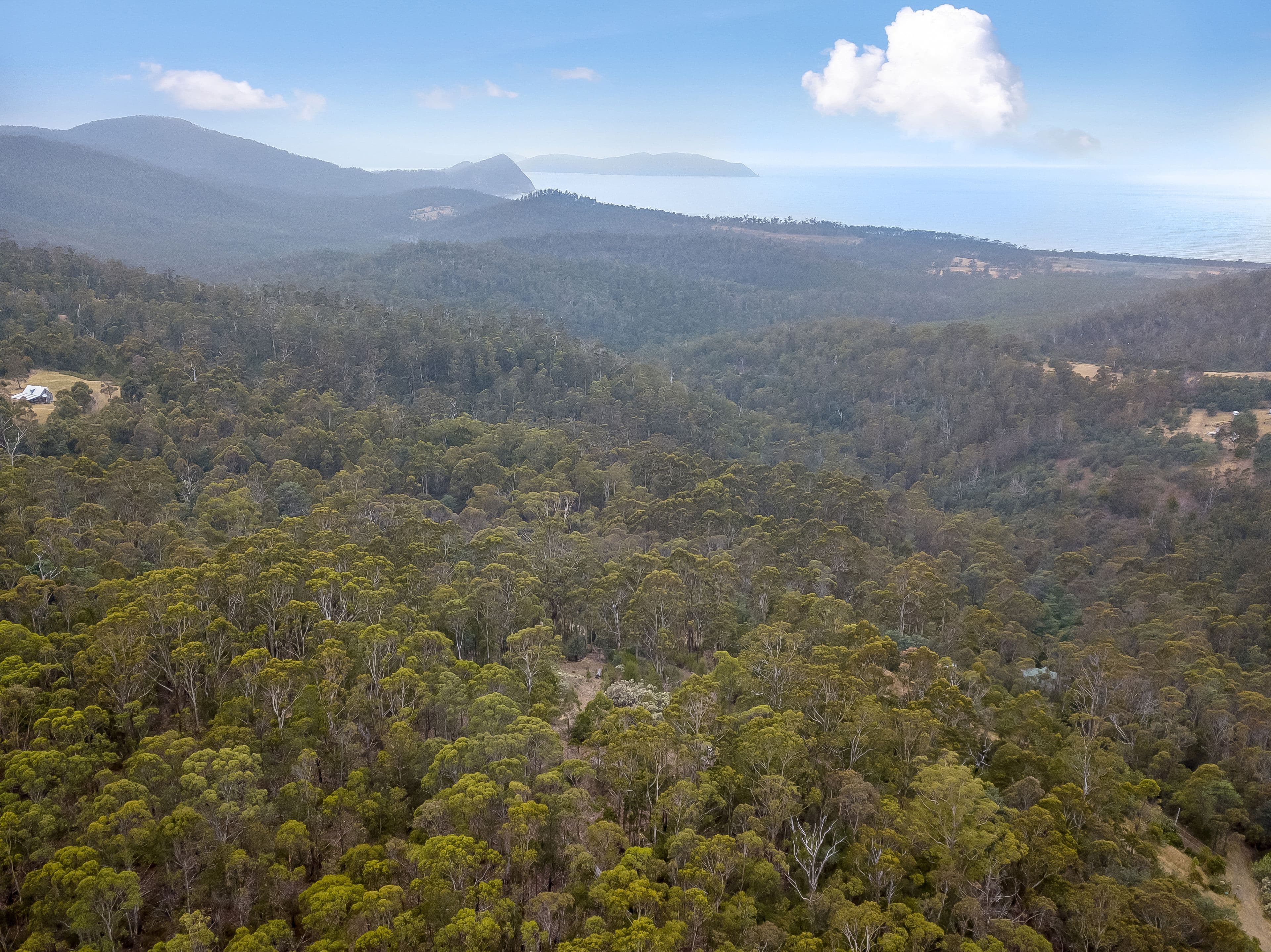 63 Wielangta Road, Kellevie TAS 7176, Kellevie - Thumbnail 5