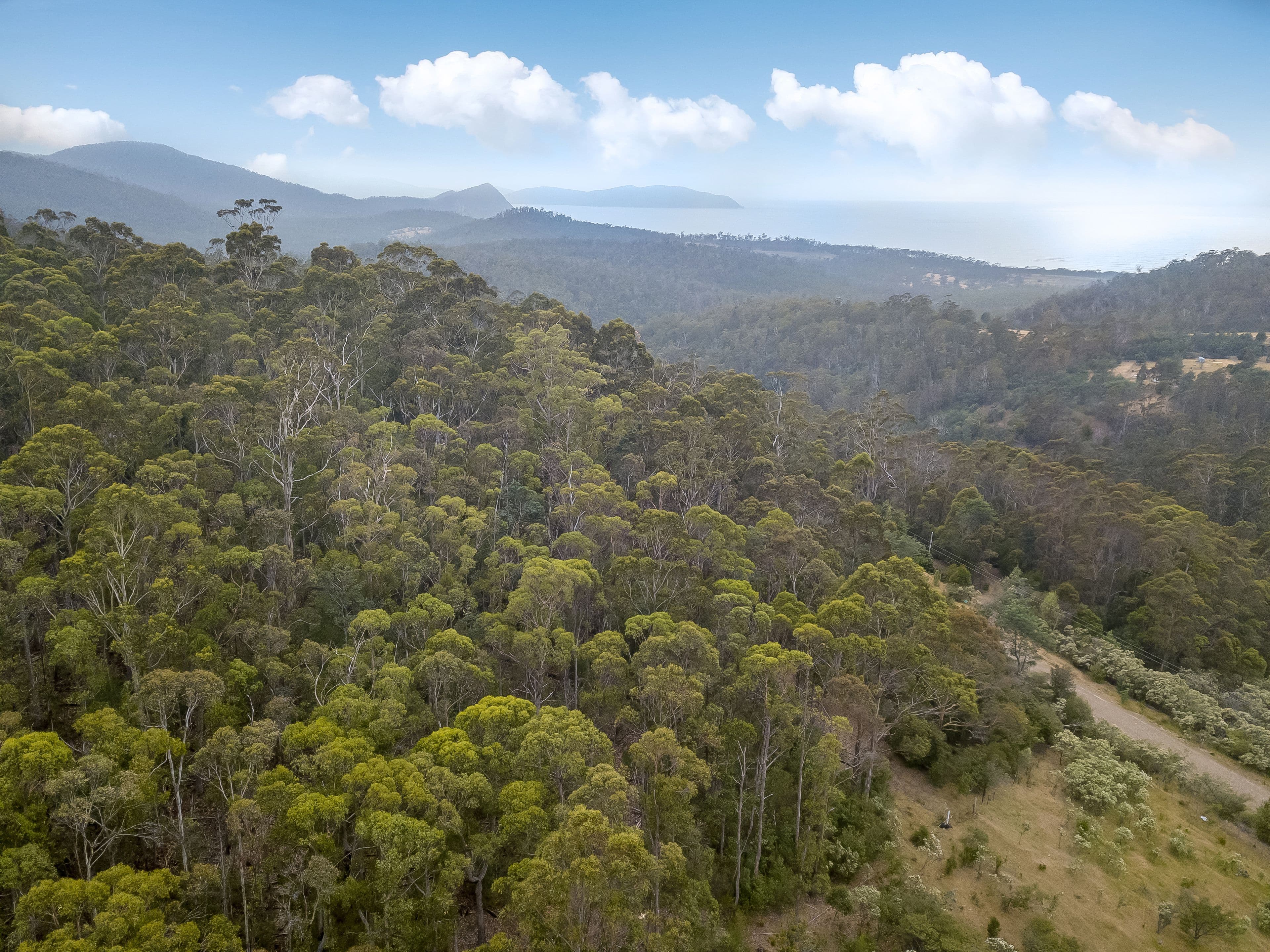 63 Wielangta Road, Kellevie TAS 7176, Kellevie - Thumbnail 6