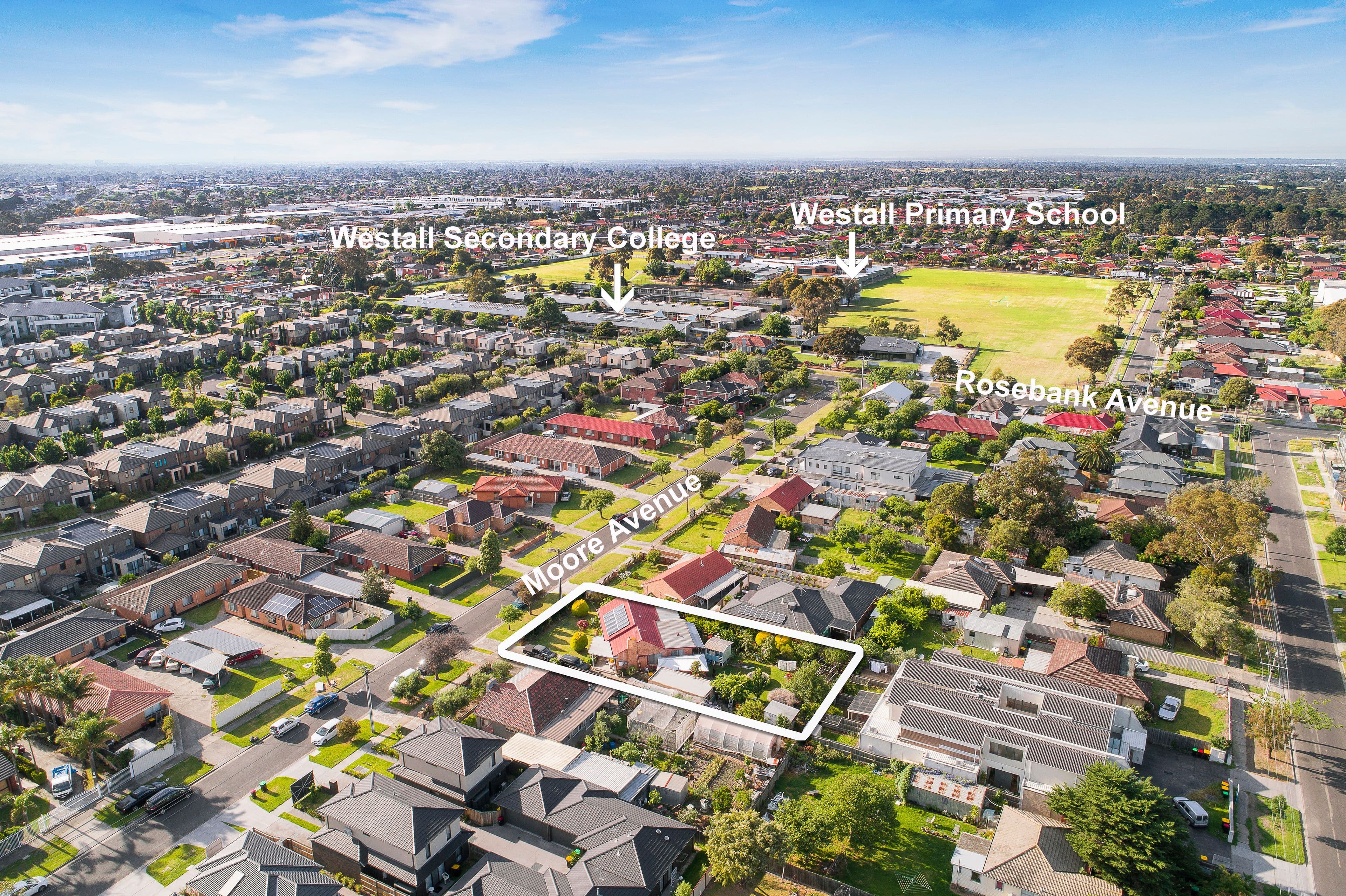 17 Moore Avenue, Clayton South VIC 3169, Clayton South - Thumbnail 6