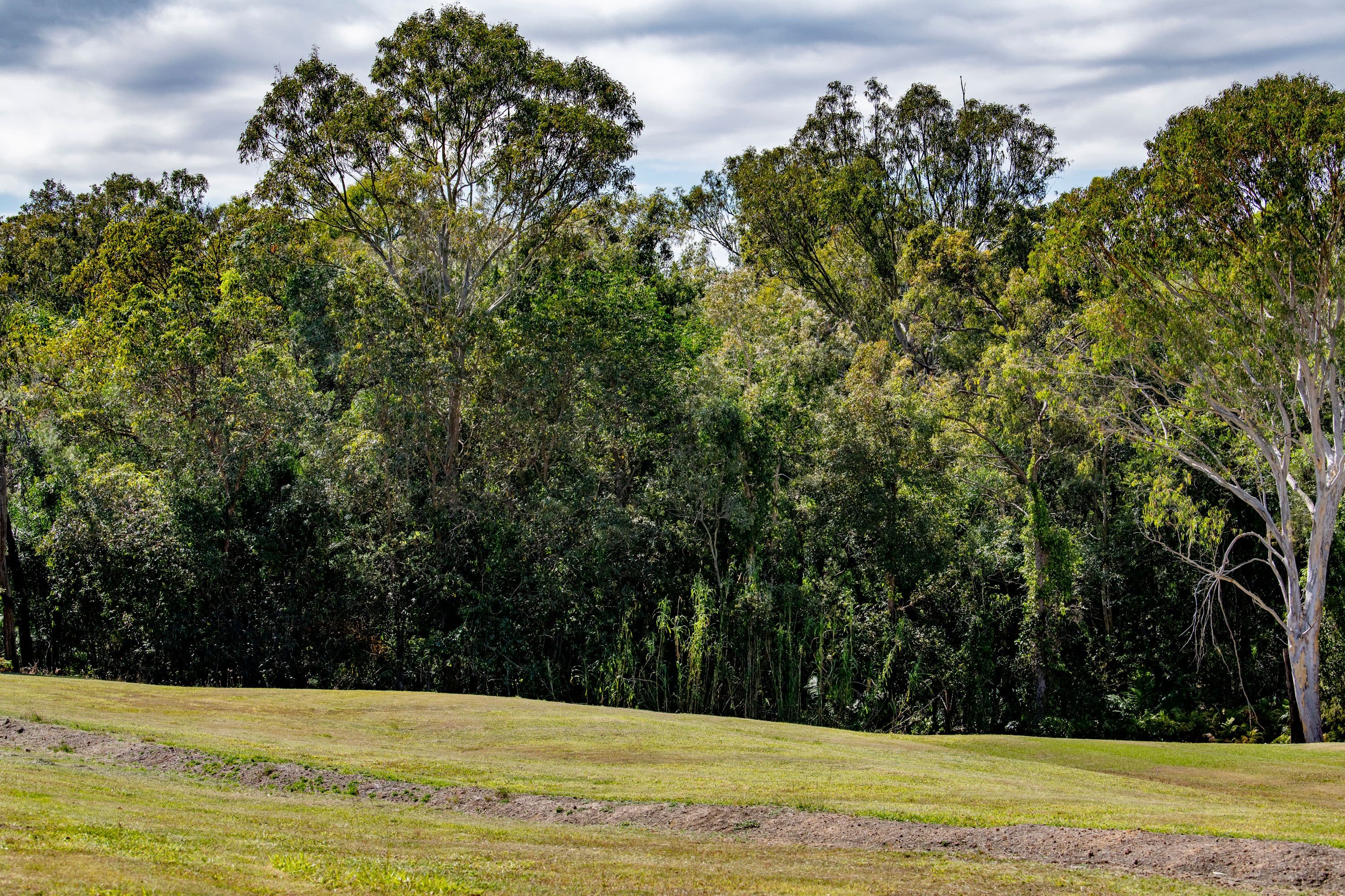75 Worthing Road, Victoria Point QLD 4165, Victoria Point - Thumbnail 4